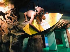 -杭州开元森泊度假乐园