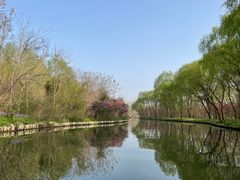 -溱湖国家湿地公园