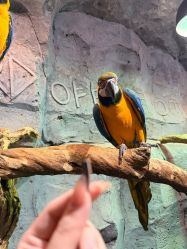 -Zoolung Zoolung动物主题公园(海信广场店)