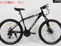 -道路口单车爱瓦士dahon大行