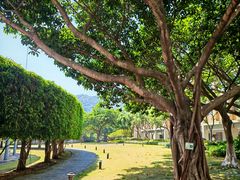 -厦门国家会计学院