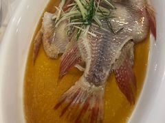 -白云中餐厅·粤菜·亚龙湾喜来登度假酒店
