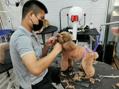 -PETKIT小佩宠物(古北店)