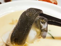 养颜白汁河豚-肆月河豚·新淮扬(金融街店)