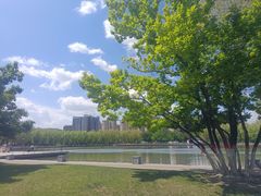 -五环公园