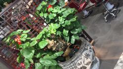 -张昊造型