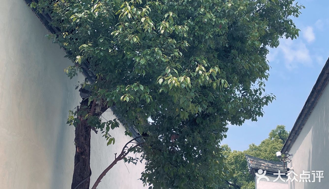 福州5A景区｜必打卡景点免门票的好去处