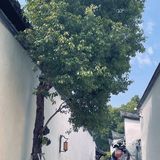 福州5A景区｜必打卡景点免门票的好去处