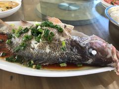 -七鲜渔港美食餐厅(巽寮湾海景店)