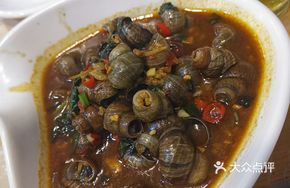 Spicy Freshwater Snail