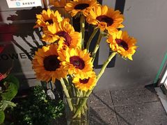 -FEI FEI FLOWER鲜花店·气球派对·宝宝宴布置(虹口德必运动Loft店)