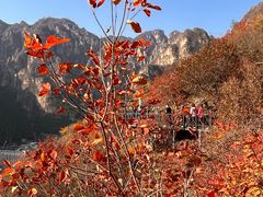 -狼牙山风景区