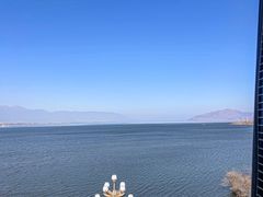 -野菌皇海景野生菌火锅(滨海大道店)