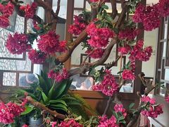 -徽珍源(龙茗路店)