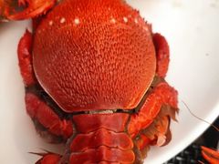 -皇朝万鑫自助餐厅