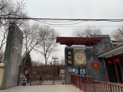 -莲花池公园