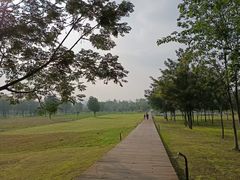 -汉长安城未央宫国家考古遗址公园