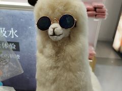 -国药中服免税(北京坊店)