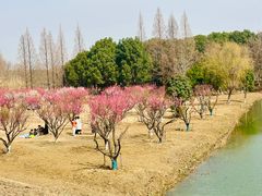 -南湖湿地公园