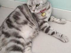 -平行世界·猫咖(首经贸店)