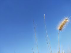 -良渚古城遗址公园