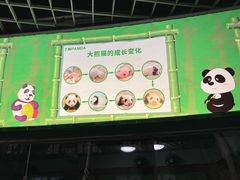 -深圳野生动物园