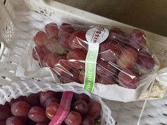 -马陆小张葡萄园农家乐