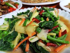 -腾冲国萍农家乐