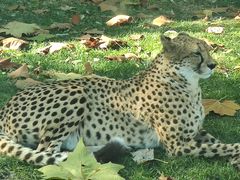 -北京野生动物园