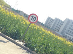 -上海第二工业大学(金海路校区)