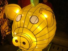 -锦江乐园舞狸花花游园会(夜场专享)