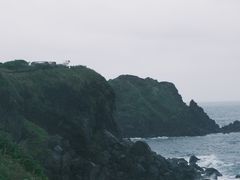 -涉地可支