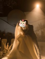 -南昌喜来登酒店·宴会厅