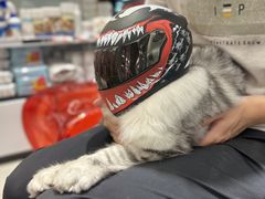 -FAELING PETS美天灵宠物(合生汇店)