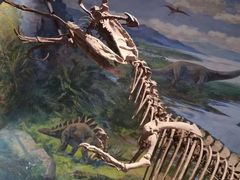 -自贡恐龙博物馆