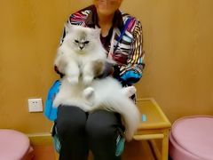 -MOCHA明星猫咖(田子坊店)