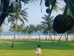 -海南清水湾莱佛士酒店