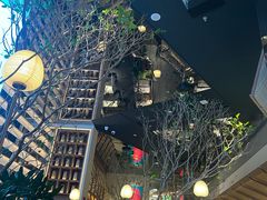 -桂满陇·海市蜃楼·黑金(国金店)