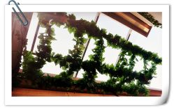 DSC_3458_副本-科美皮肤健康管理中心