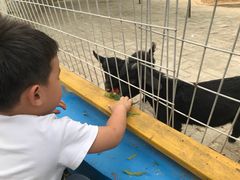 -武汉紫薇都市田园