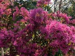 -艾溪湖湿地公园