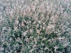 -白塘生态植物园