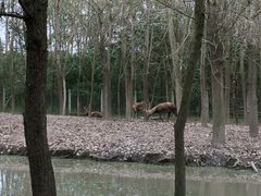 -溱湖国家湿地公园