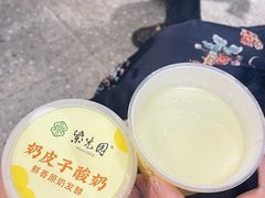 -紫光园·烤鸭(美术馆店)