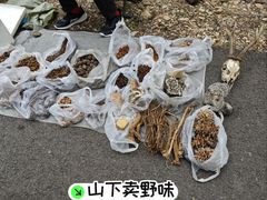 -大连天门山国家森林公园