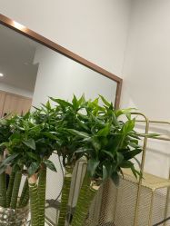-奥本瑜伽·普拉提