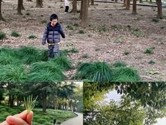 -上海科技馆(地铁站)