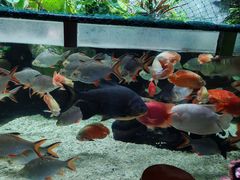 -太平洋海底世界