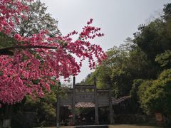 -常德桃花源景区