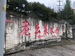 -老幺泉水鸡